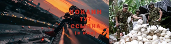 прущая мука Арсеньев