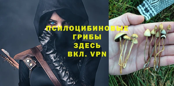 прущая мука Арсеньев