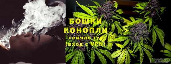прущая мука Арсеньев