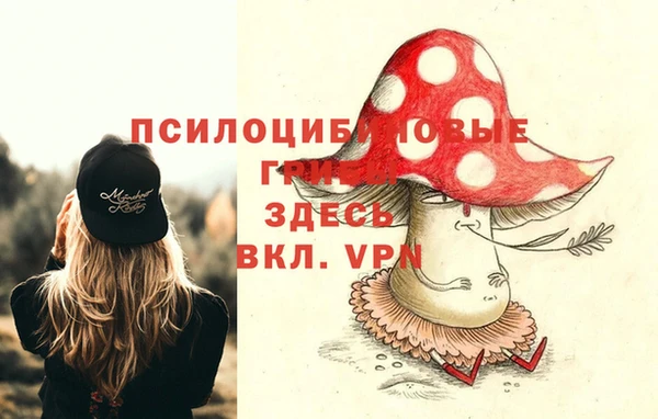 прущие грибы Аркадак