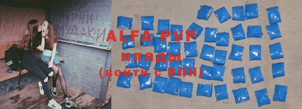 прущие грибы Аркадак