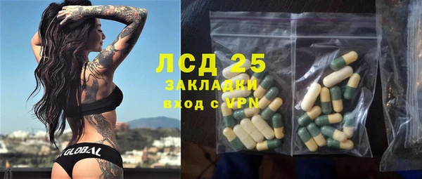 прущие грибы Аркадак