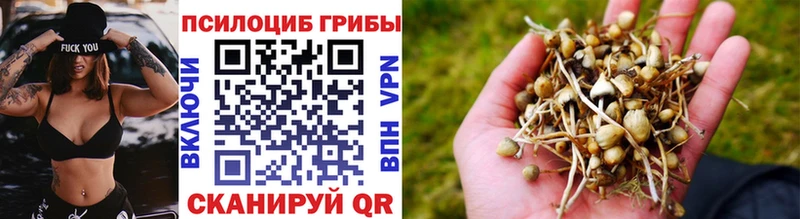 Псилоцибиновые грибы GOLDEN TEACHER  кракен рабочий сайт  Волжский 
