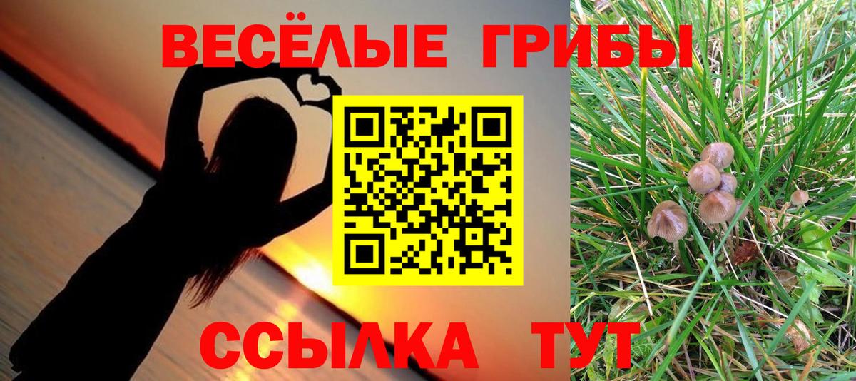 Галлюциногенные грибы Psilocybe  Галлюциногенные грибы Cubensis  Вход с VPN  Волжский 