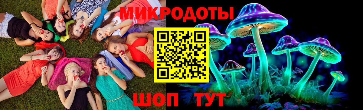 Псилоцибиновые грибы мухоморы Волжский